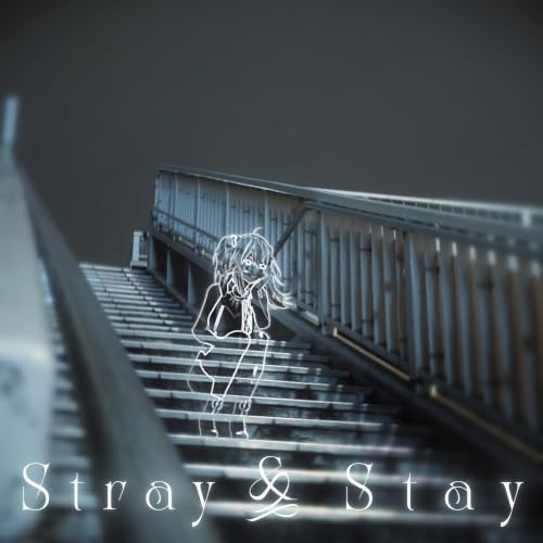 Stray & Stay